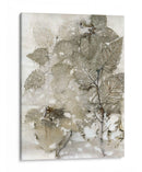 Abedul Deja - Robert Settle | Cuadro decorativo de Canvas Lab