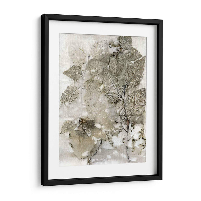 Abedul Deja - Robert Settle | Cuadro decorativo de Canvas Lab