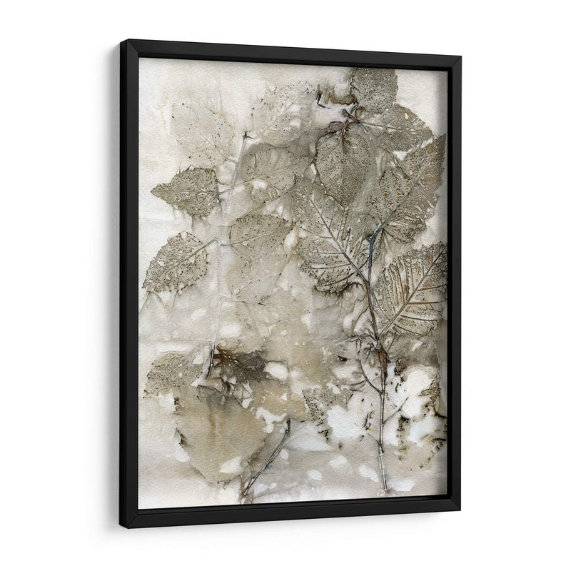 Abedul Deja - Robert Settle | Cuadro decorativo de Canvas Lab