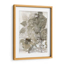 Abedul Deja - Robert Settle | Cuadro decorativo de Canvas Lab