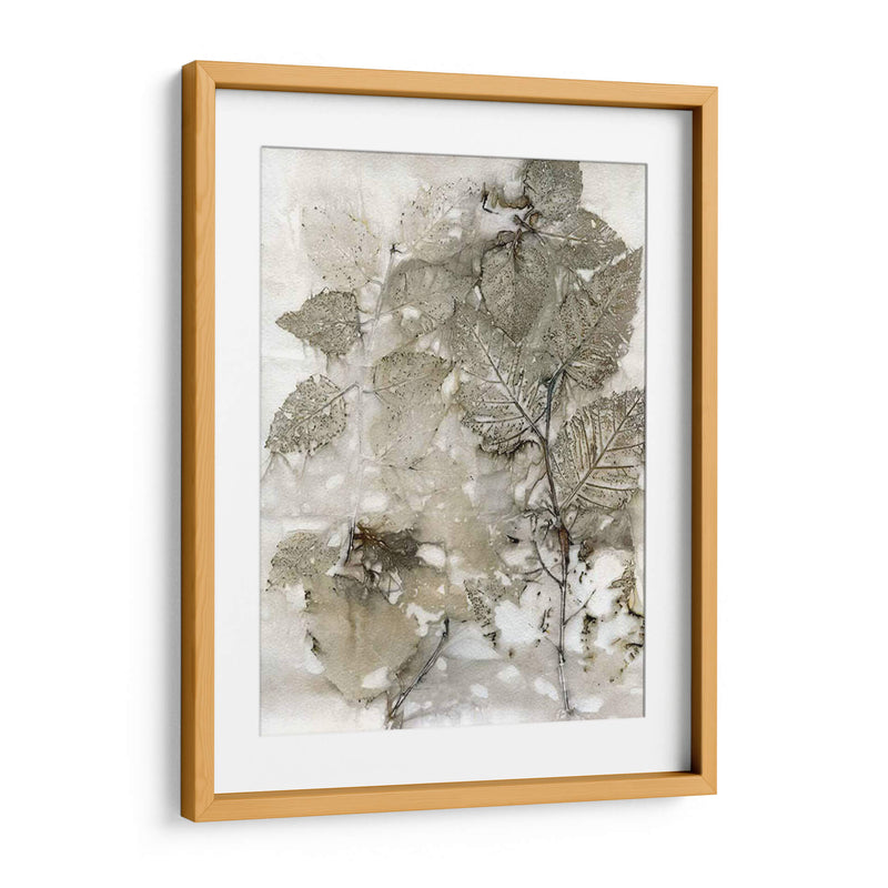 Abedul Deja - Robert Settle | Cuadro decorativo de Canvas Lab