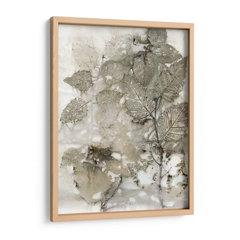 Abedul Deja - Robert Settle | Cuadro decorativo de Canvas Lab