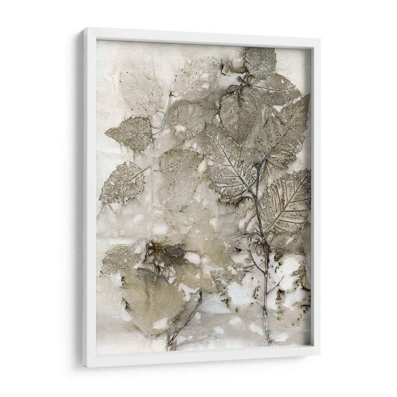 Abedul Deja - Robert Settle | Cuadro decorativo de Canvas Lab