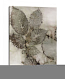 Hojas De Abedul Ii - Robert Settle | Cuadro decorativo de Canvas Lab