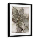 Hojas De Abedul Ii - Robert Settle | Cuadro decorativo de Canvas Lab