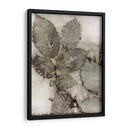 Hojas De Abedul Ii - Robert Settle | Cuadro decorativo de Canvas Lab