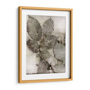 Hojas De Abedul Ii - Robert Settle | Cuadro decorativo de Canvas Lab