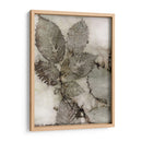 Hojas De Abedul Ii - Robert Settle | Cuadro decorativo de Canvas Lab