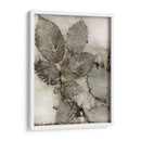 Hojas De Abedul Ii - Robert Settle | Cuadro decorativo de Canvas Lab