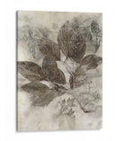 Hojas De Cornejo Ii - Robert Settle | Cuadro decorativo de Canvas Lab