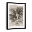 Hojas De Cornejo Ii - Robert Settle | Cuadro decorativo de Canvas Lab