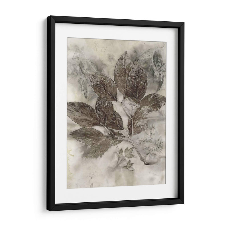 Hojas De Cornejo Ii - Robert Settle | Cuadro decorativo de Canvas Lab