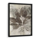 Hojas De Cornejo Ii - Robert Settle | Cuadro decorativo de Canvas Lab