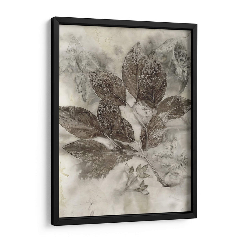 Hojas De Cornejo Ii - Robert Settle | Cuadro decorativo de Canvas Lab