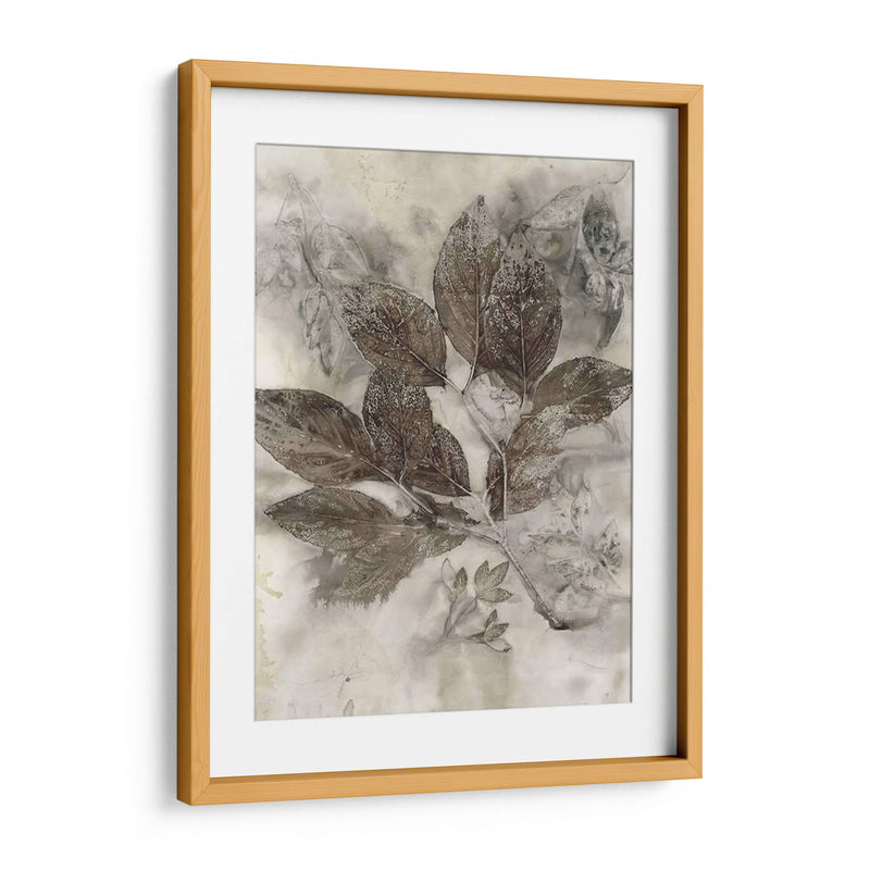 Hojas De Cornejo Ii - Robert Settle | Cuadro decorativo de Canvas Lab