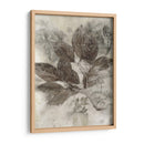 Hojas De Cornejo Ii - Robert Settle | Cuadro decorativo de Canvas Lab