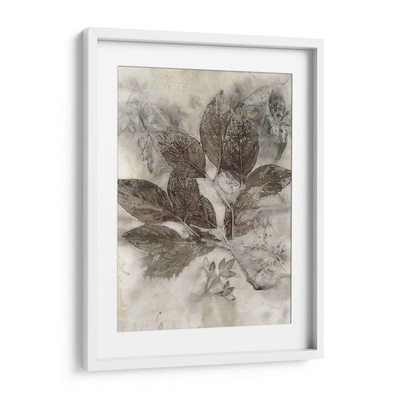 Hojas De Cornejo Ii - Robert Settle | Cuadro decorativo de Canvas Lab