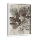 Hojas De Cornejo Ii - Robert Settle | Cuadro decorativo de Canvas Lab