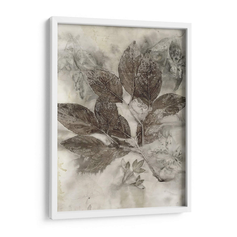 Hojas De Cornejo Ii - Robert Settle | Cuadro decorativo de Canvas Lab