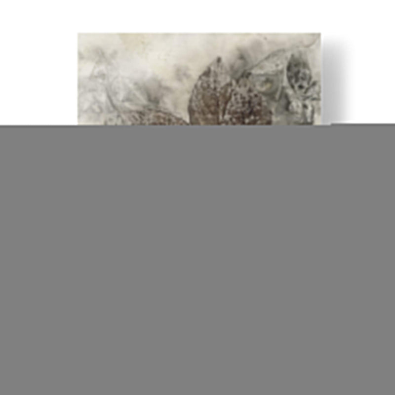 Hojas De Cornejo Ii - Robert Settle | Cuadro decorativo de Canvas Lab