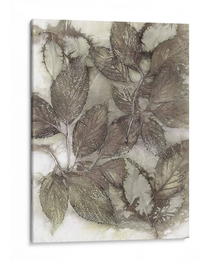 Dogwood Hojes Iii - Robert Settle | Cuadro decorativo de Canvas Lab