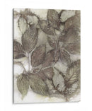 Dogwood Hojes Iii - Robert Settle | Cuadro decorativo de Canvas Lab