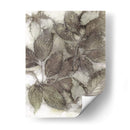 Dogwood Hojes Iii - Robert Settle | Cuadro decorativo de Canvas Lab