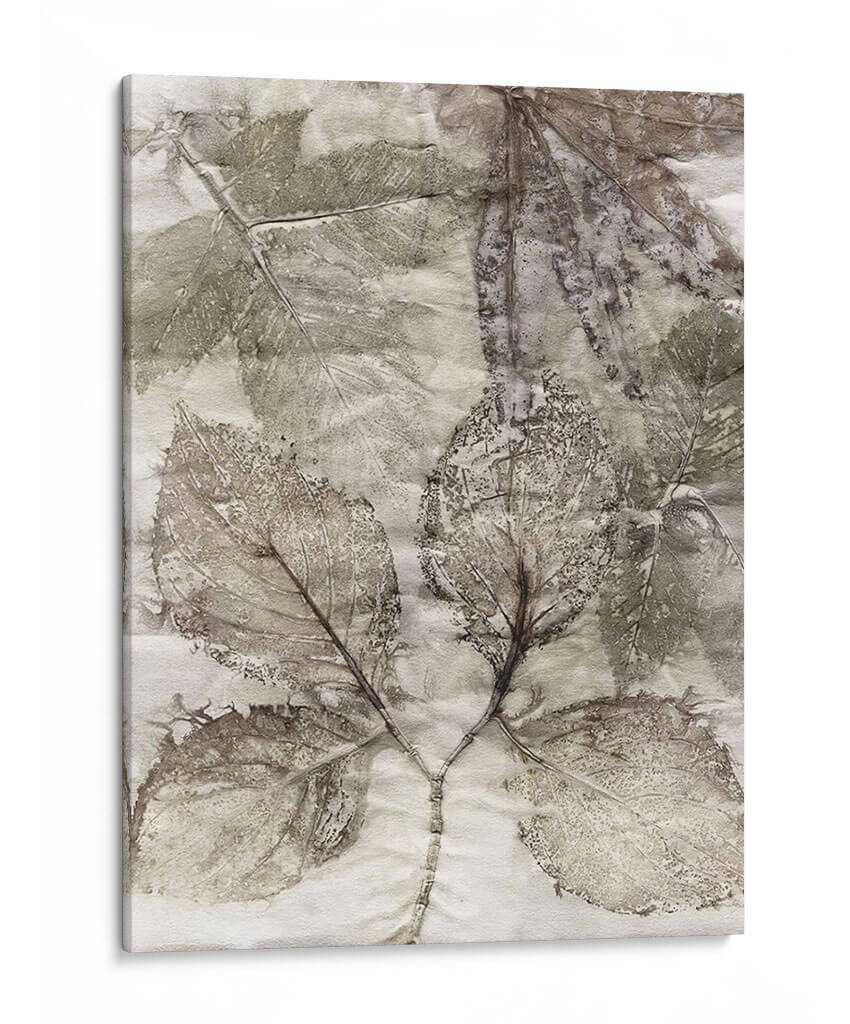 Multi Deja Ii - Robert Settle | Cuadro decorativo de Canvas Lab