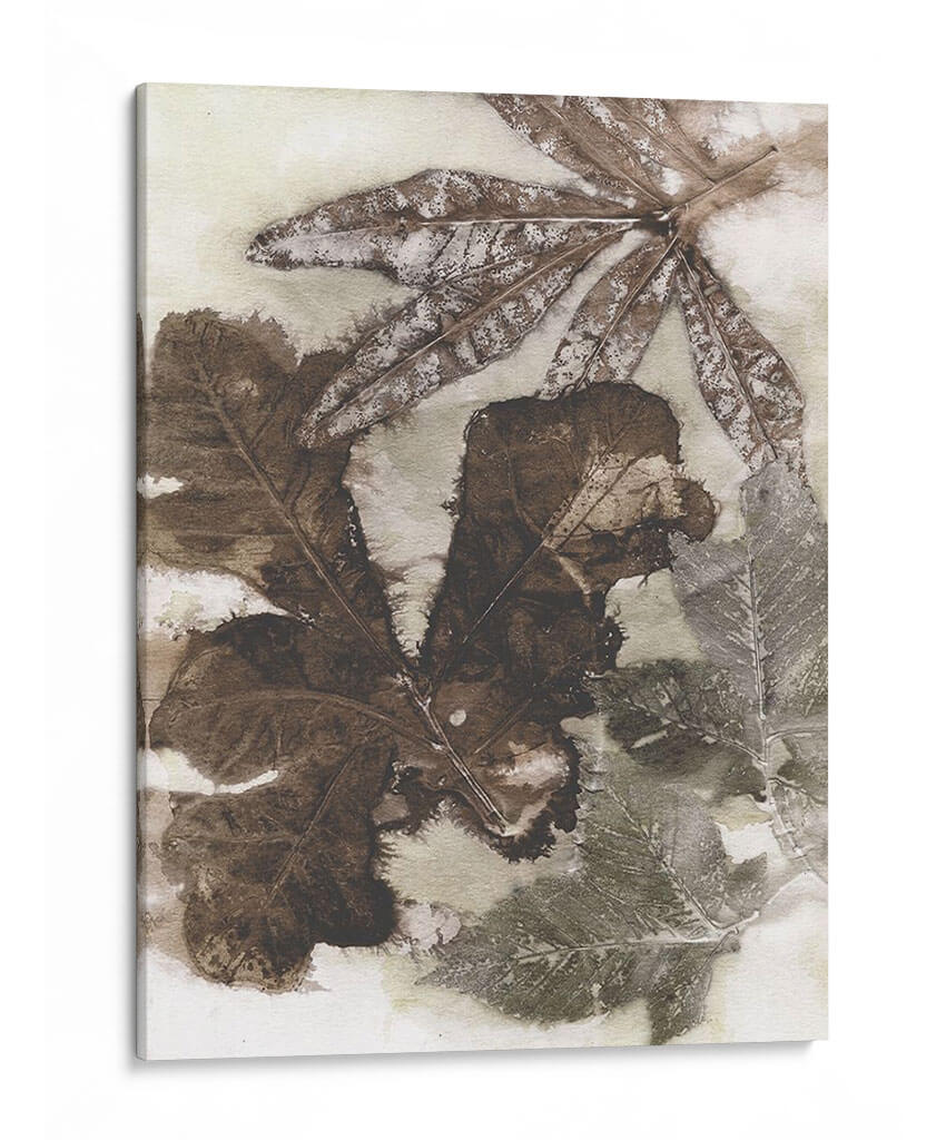Hojas De Roble - Robert Settle | Cuadro decorativo de Canvas Lab