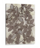 Hojas De Rosa - Robert Settle | Cuadro decorativo de Canvas Lab