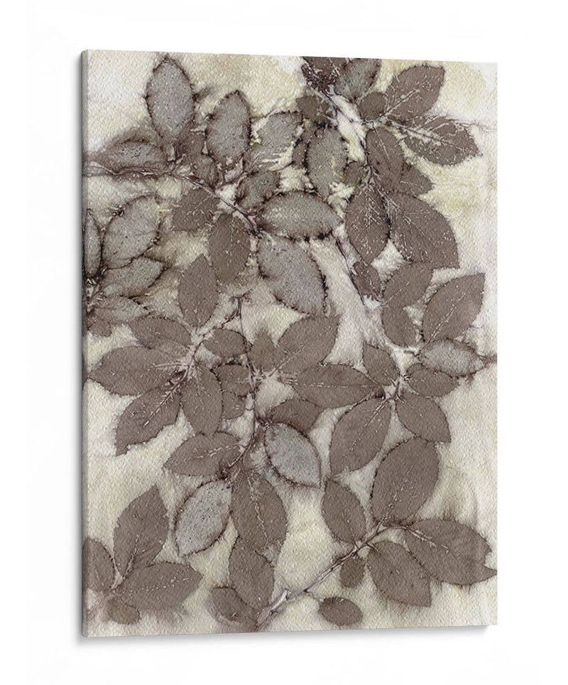 Hojas De Rosa - Robert Settle | Cuadro decorativo de Canvas Lab