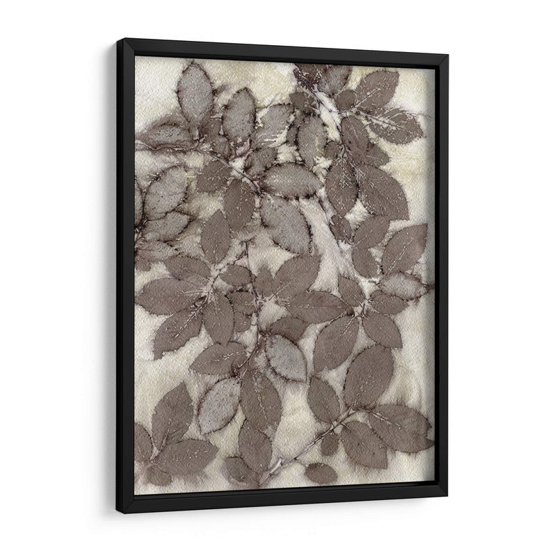 Hojas De Rosa - Robert Settle | Cuadro decorativo de Canvas Lab