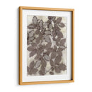 Hojas De Rosa - Robert Settle | Cuadro decorativo de Canvas Lab