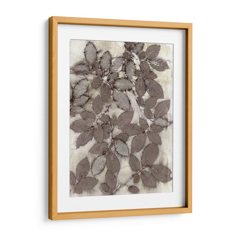 Hojas De Rosa - Robert Settle | Cuadro decorativo de Canvas Lab