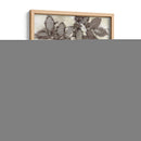 Hojas De Rosa - Robert Settle | Cuadro decorativo de Canvas Lab