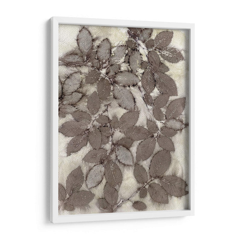 Hojas De Rosa - Robert Settle | Cuadro decorativo de Canvas Lab