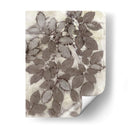 Hojas De Rosa - Robert Settle | Cuadro decorativo de Canvas Lab