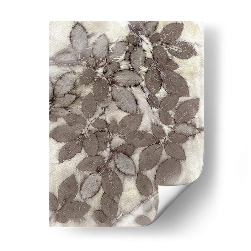 Hojas De Rosa - Robert Settle | Cuadro decorativo de Canvas Lab