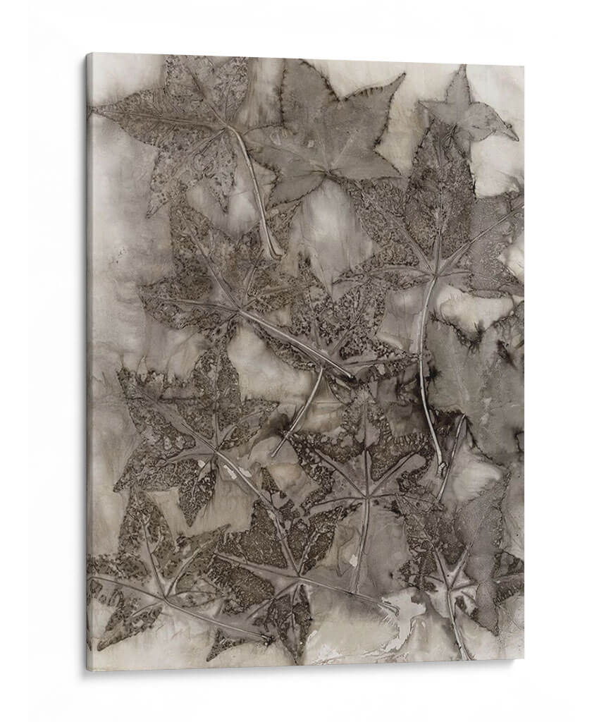 Hojas De Goma Dulce - Robert Settle | Cuadro decorativo de Canvas Lab