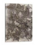 Hojas De Goma Dulce - Robert Settle | Cuadro decorativo de Canvas Lab