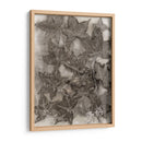 Hojas De Goma Dulce - Robert Settle | Cuadro decorativo de Canvas Lab