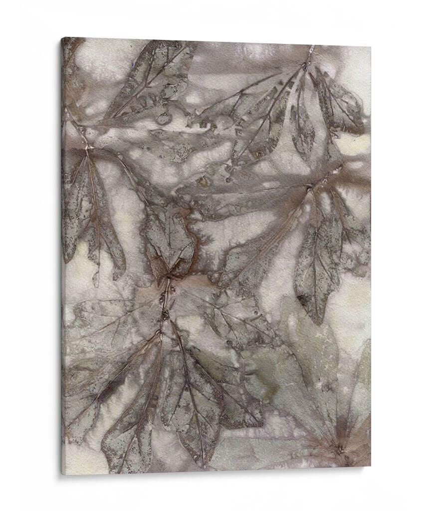 Hojas De Agua De Agua - Robert Settle | Cuadro decorativo de Canvas Lab