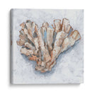 Pantalla De Coral Iv - Ethan Harper | Cuadro decorativo de Canvas Lab