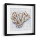 Pantalla De Coral Iv - Ethan Harper | Cuadro decorativo de Canvas Lab