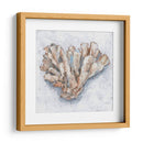 Pantalla De Coral Iv - Ethan Harper | Cuadro decorativo de Canvas Lab