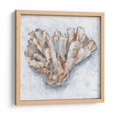 Pantalla De Coral Iv - Ethan Harper | Cuadro decorativo de Canvas Lab