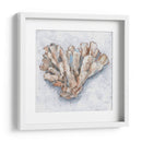 Pantalla De Coral Iv - Ethan Harper | Cuadro decorativo de Canvas Lab