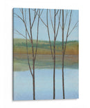 Entre El Agua I - Tim OToole | Cuadro decorativo de Canvas Lab