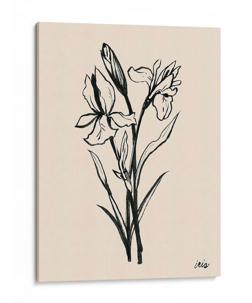 Iris Sketch I - Grace Popp | Cuadro decorativo de Canvas Lab