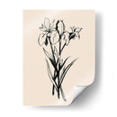 Iris Sketch Ii - Grace Popp | Cuadro decorativo de Canvas Lab